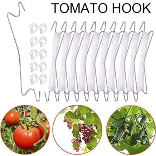 Tomato Support Double Hooks Set Fruit Cherry Plant Climbing Hooks with Tomato Clips Iron Plant Vine Tie Support Tool for Garden