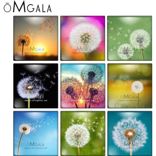 Beauty Dandelion Art Patterns Square 10pcs mixed 12mm/20mm/25mm/30mm photo glass cabochon demo flat back Making findings