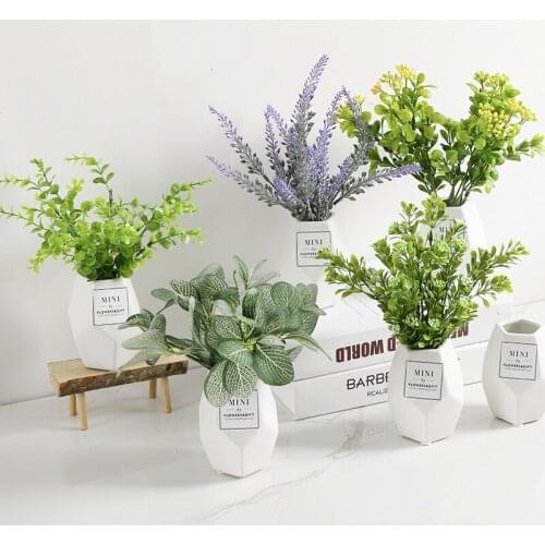 Of Furniture For Display Rather Than For Use Ins Home Furnishing Indoor A Living Room Meaty Leave Flowerpot View A Decoration