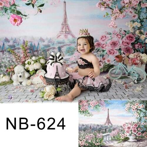 Background for photo flowers Eiffel tower old master oil painting backdrop for photography studio newborn photo shoot portrait