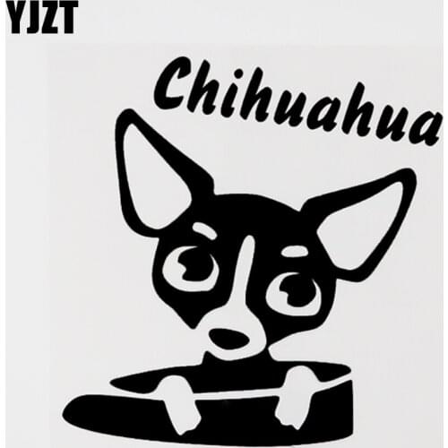 YJZT 13.5CM×13.5CM Cute Animal Chihuahua Vinyl Car Sticker Decal Black/Silver 8C-0722