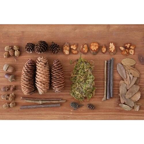 1 Set Natural Dried Plant Acron Pinecone Moss Grass Stick For Wedding Party Home Hotel Venue Decoration Craft DIY