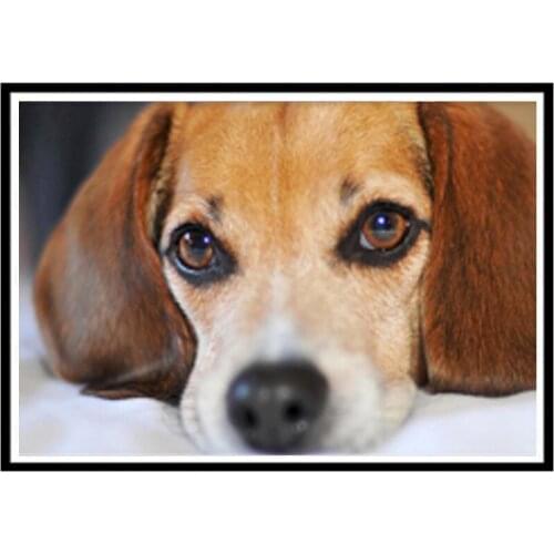 5D diamond painted full diamond puppy round diamond mosaic pattern home decoration DIY handmade