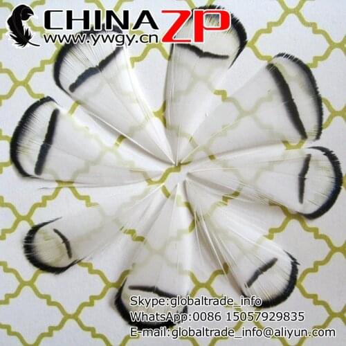 CHINAZP Factory Exporting 100pcs/lot Good Quality White Lady Amherst Pheasant Tippet Feather
