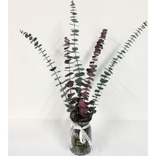 Flores Secas Natural Eucalyptus Leaves Branches Stems Dried Flower Real Palnt Ornament For DIY Wedding Shooting Prop Home Decor