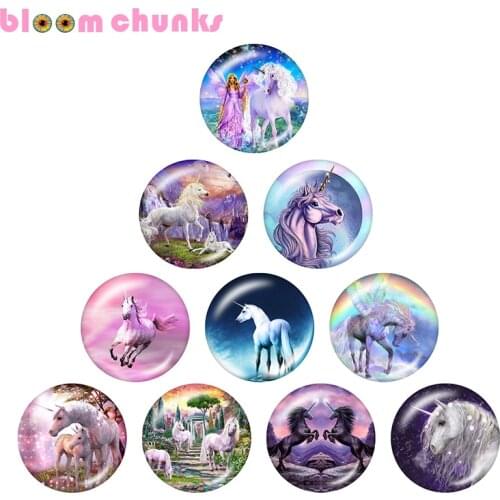 Unicorn horse 10pcs mixed 12mm/18mm/20mm/25mm Round photo glass cabochon demo flat back Making findings Y1004