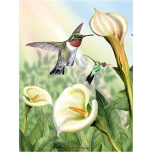 Counted Cross Stitch Kits Needlework Embroidery - 14 ct Aida DMC Color DIY Arts Handmade Home Decor - Lily and Hummingbirds