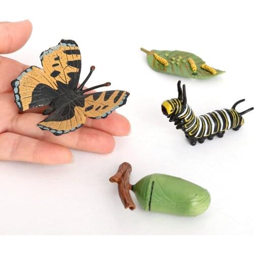 Life Cycle of a Monarch Butterfly， Nature Insects Life Cycles Growth Model Game Prop，Insect Animal Natural Education Toy