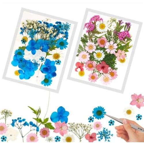 12pcs Real Dried Pressed Flowers Leaves Natural Dried Flowers For DIY Epoxy Resin Filling Jewelry Decoration Accessories