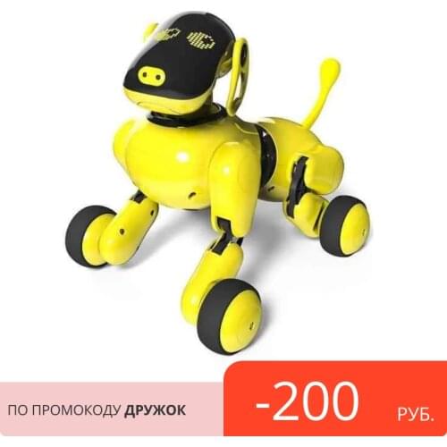 DGMedia Radio Controlled Robots