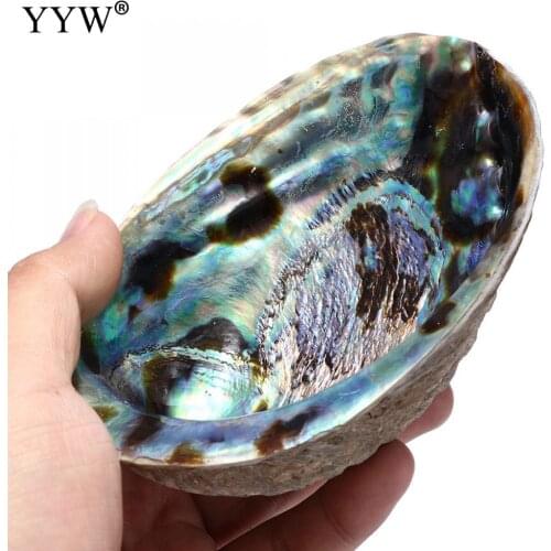 132x95x36mm Large Abalone Shell(4-6") Rainbow Multicolor Oval Smudge Bowl With Velvet Pouch Hole Shell Jewelry Holder For Gift