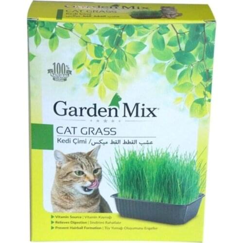 New Mixed Cat Grass 13*18 Cm MERO GLOBAL Turkey Fast Shipping