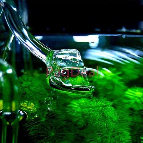 Aquarium Fish Tank Plant Aquariums Glass 13mm 17mm Voilet Lily Pipe Inflow and Lily Pipe Outflow for 12/16mm 16/22mm Tube