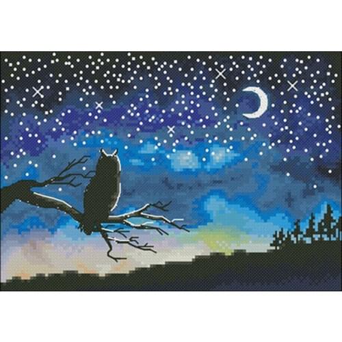 Night owl patterns counted 11CT 14CT 18CT DIY Cross Stitch Sets wholesale Cross-stitch Kits Embroidery Needlework