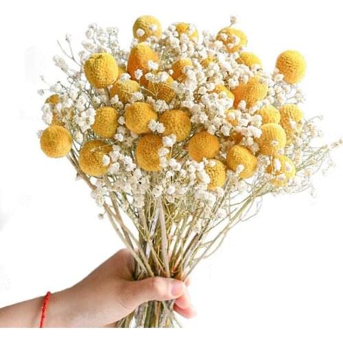 Real Dried Pampas Grass Wedding Flower Bunch Natural Plants Home Decor Dried Artificial Flowers Phragmites Golden Ball Pompom