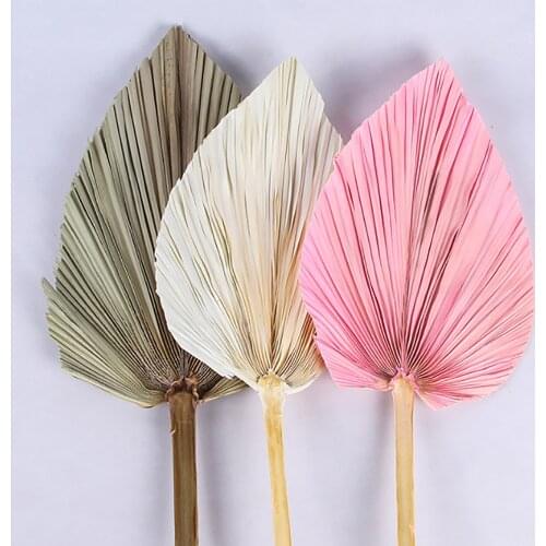 Artificial Leaves Palm Fan Dried Flower For Reception Party Wedding Wall Arch Arrangement Hanging Decoration