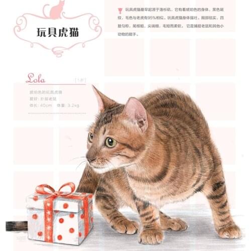 New Chinese pencil drawing book Feile Bird Cute cat paintings book learning color pencil textbook Line sketch Tutorial art book