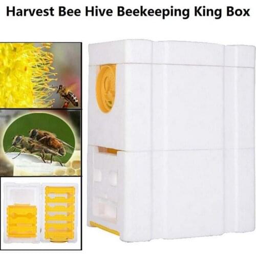 Honey Harvest Bee Hive Beekeeping King Box Pollination Box Foam Frames Case