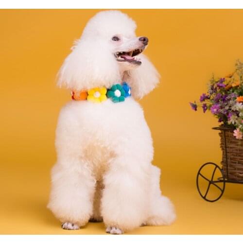 Pet supplies dog collar temperament meow jewelry