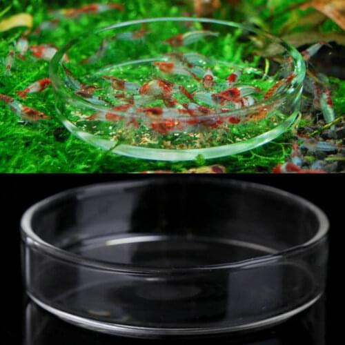Transparent glass shrimp feeding feeder tray round container aquarium fish tank feeding bowl feeding tropical fish