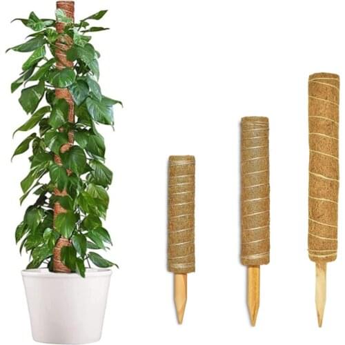 30/40/50cm Plant Climbing Coir Pole Extendable Plant Support for Climbing Indoor Potted Plants Monstera Creepers