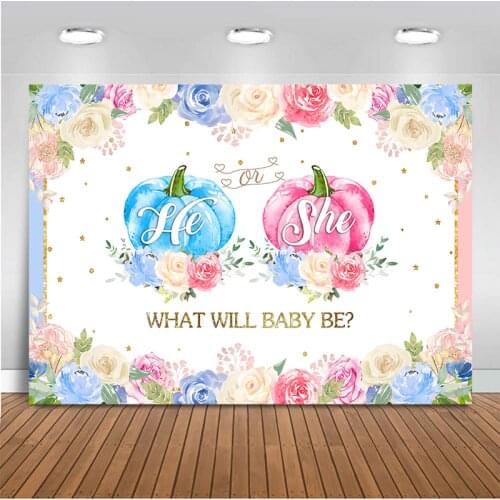 Boy or Girl Baby Gender Reveal Party Background Baby Shower Decor Pumpkin Boy Girl Birthday Party Photo Backdrop Banner
