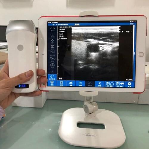 Chihuahua Dog Ultrasound Corgi Digital Portable Wireless Probe Pet Scanner Linear Probe WIFI Android/IOS Windows Dog Hospital