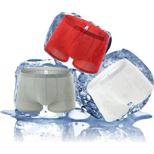 Ice Silk Boxer Shorts Mens Sexy Seamless Transparent Underwear Cueca Plus Size Slip Homme Panties Ultra-thin Boxershorts Trunks