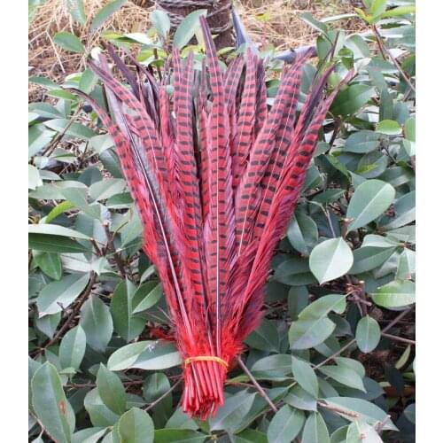 Wholesale 50 pcs pretty red Pheasants feathers 12-14inches/30-35cm DIY jewelry, art performances props Accessories