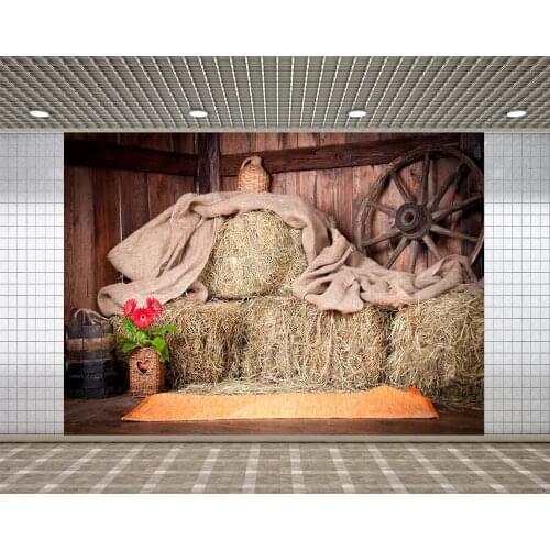 Lyavshi background rural farm haystack wooden house flower pot house photo studio background photography background
