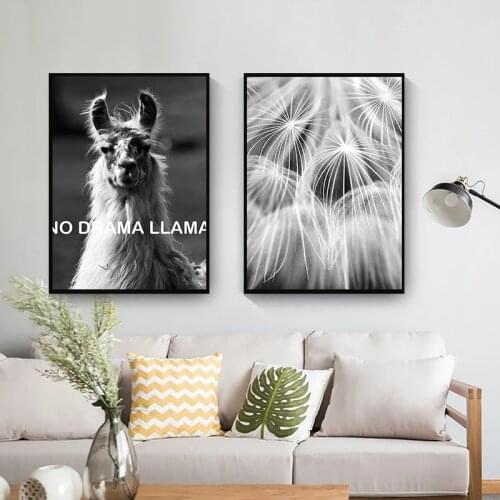 Black and White Alpaca No Funny Poster Drama Camel Animal Canvas Painting Art Print Modern Living Room Decoration Frameless