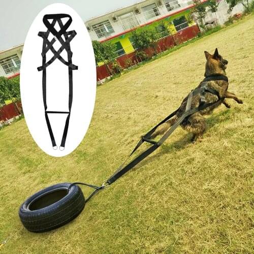 Dog Training Product Supplier Toys K9 Dog Treats Trainer Pet Accessories Adjustable for Medium Large Dogs German Shepherd