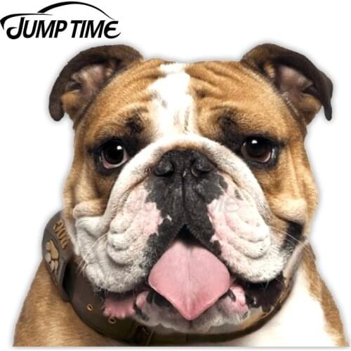 JumpTime 13 x 11.5cm Bulldog Cute Dog Peek Peeking Peekers Window Vinyl Car Bumper Funny Cute Kids Cartoon Puppy JDM Stickers