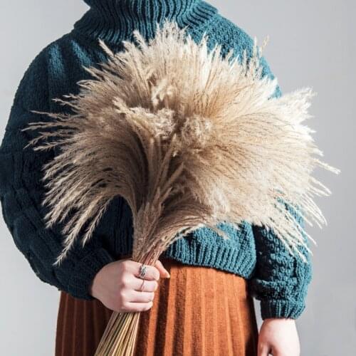 50pcs Dried Flowers Wedding Deco Marriage Real Natural Pampas Grass Decor Birthday Party Bohemian Home Living Room Decoration