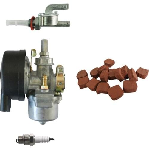 Carburetor&Spark Plug&15xSquare Clutch Pads For 66/80cc Engine Motroized Bike