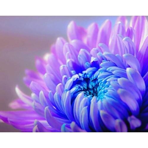 Diamond Painting Cross Stitch Flower chrysanthemum 5D DIY Diamond Embroidery Full Square/round Rhinestone Of Picture