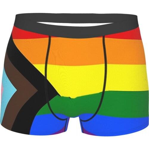 Flag Progress Pride Underpants Breathbale Panties Man Underwear Comfortable Shorts Boxer Briefs
