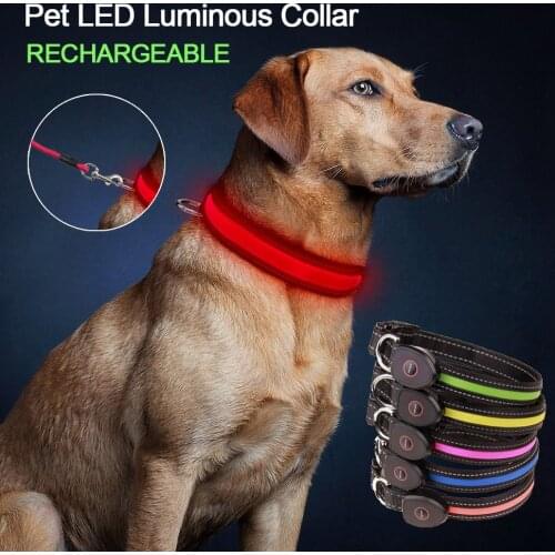 USB Charging LED Dog Collar Anti-Lost/Avoid Car Accident Collars For Dogs Puppies Dog Luminous Collars Leads LED Pet Supplies