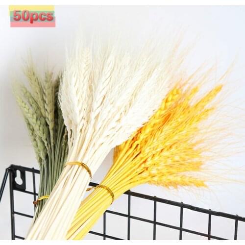 50pcs Real Wheat Ear Flower Decoration Natural Pampas Rabbit Tail Grass Dried Flowers For Wedding Party DIY Craft Scrapbook Bouq
