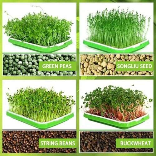Double-layer Seedling Tray Plastic Hydroponic Flower Basket Flower Plant Soil-Free Nursery Home Gardening Tray With PP Paper