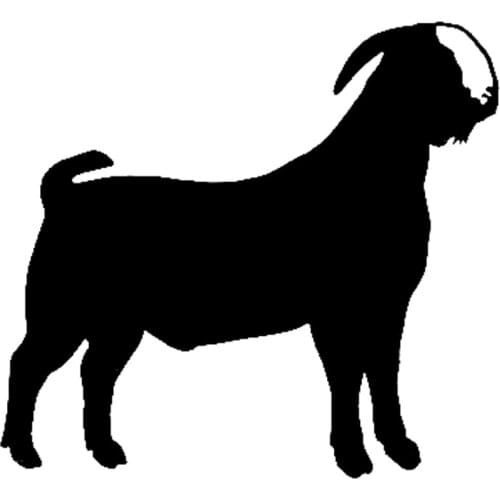 12.5cm*11..5cm Boer Goat Animal Car Accessories Vinyl Stickers Decals Black/Silver S3-5486