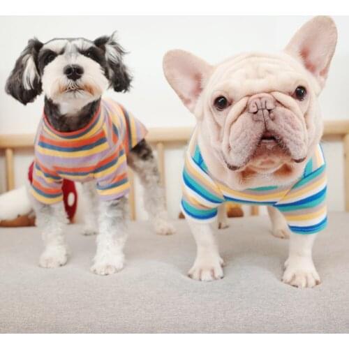 Striped Dog Underwear Tshirt for Small Medium Dogs Spring Pet Dog Vest Sweet Colorful French Bulldog Clothes Schnauzer Outfit