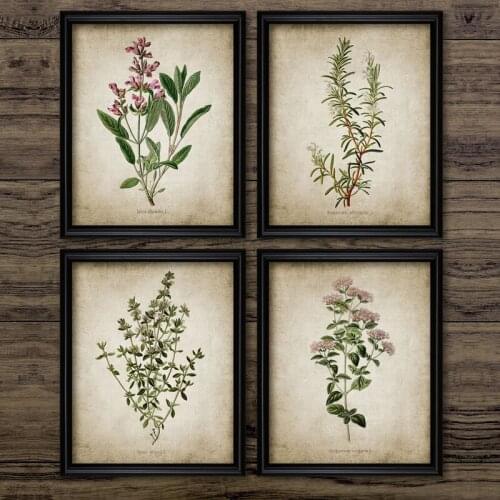 Vintage Herb Art Canvas Poster And Prints Oregano Rosemary Sage Thyme Canvas Painting Retro Wall art Pictures Home Wall Decor