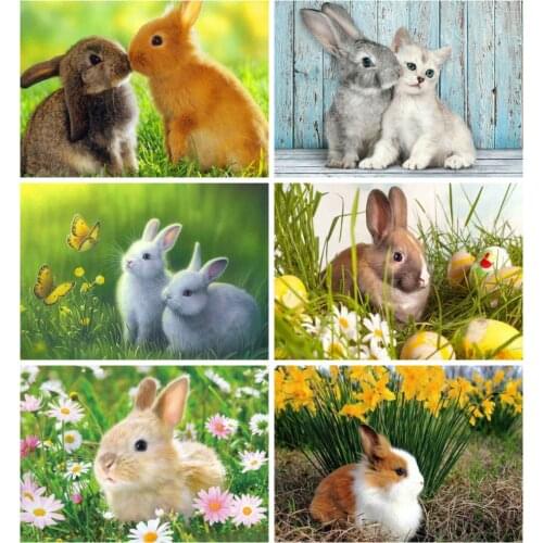 Huacan 5d Diy Diamond Painting Rabbit Diamond Art Full Drill Mosaic Animal Embroidery Farmhouse Home Decor
