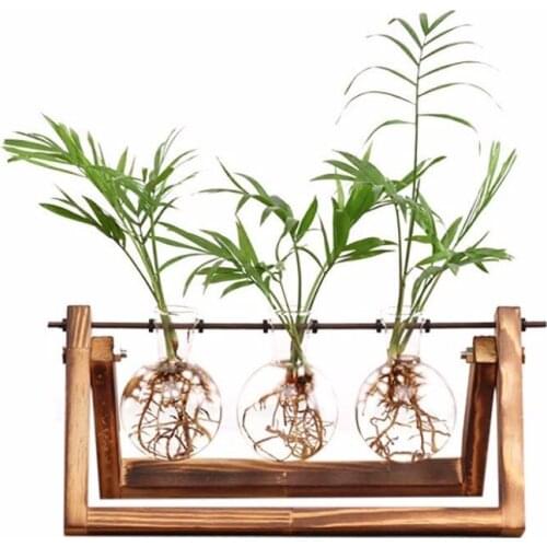 Desktop Plant Terrarium Glass Flower Bulbs Plant Containers with Wood Stand