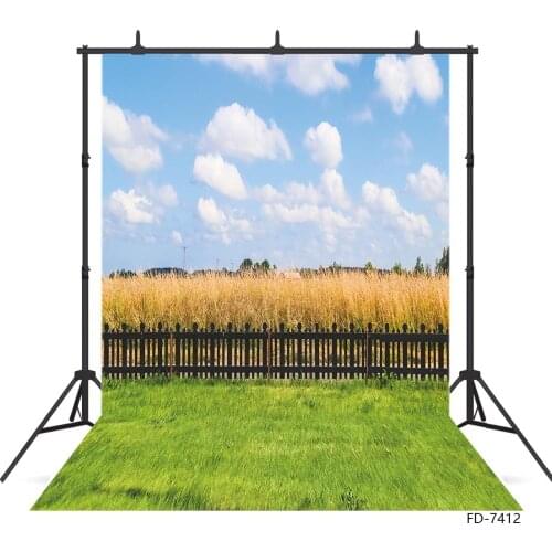 Summer Rural Landscape Photographic Background Customized Backdrop for Pets Toy Children Baby Photoshoot Photo Studio Photobooth