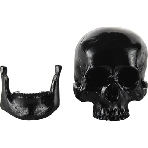 HeyMamba Human Skull Resin Black Craft Skull Model Home Halloween Decoration