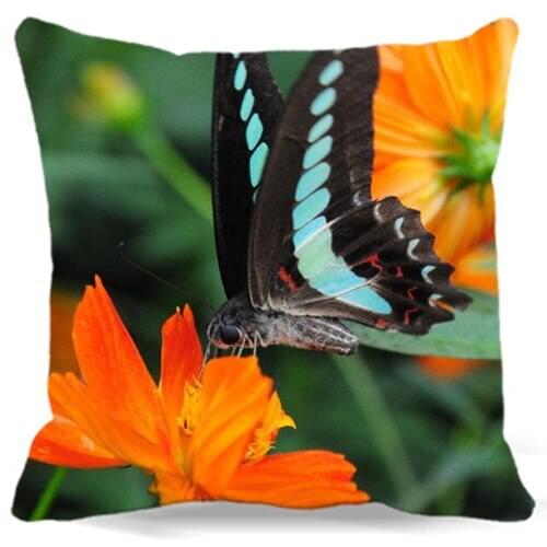 Chrysanthemum and Butterfly 2d print cotton polyester sofa cushions cover home decoration throw pillows cover chair pillow case