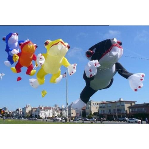 Frog kite new 3d bar Outdoor toys soft kite Single line kite rainbow big kite outdoor fun inflatable kite windsock pendants