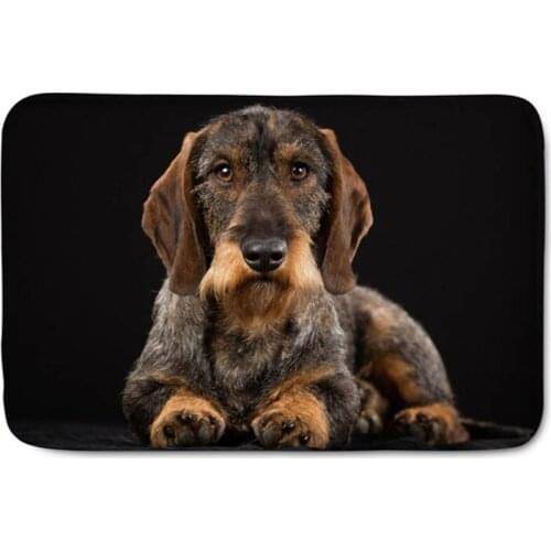 Doormat Carpet Custom Entrance Mat Hallway Dachshund Dog 3D Printed Anti-Slip Floor Mat Area Rugs Funny Front Door Mats Indoor